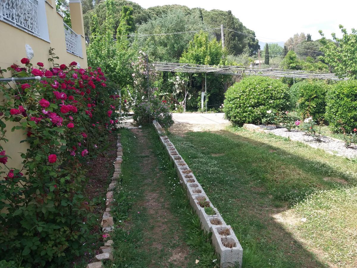 Athineos Apartments Kommeno  Exterior foto